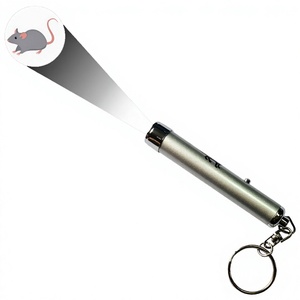 Mini Projection Camping LED Colorful Aluminum Alloy Keychain Light