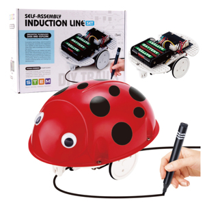 Self-assembled Induction Line Drawing Set Science Toys